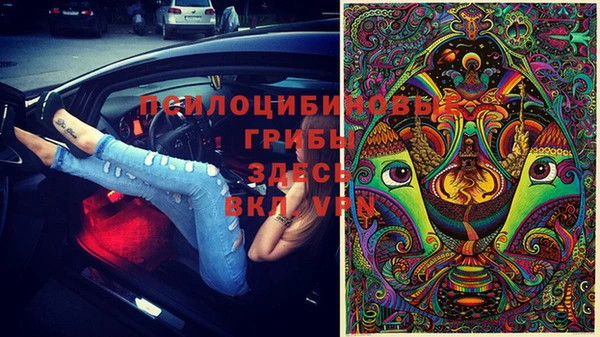 2c-b Михайловка